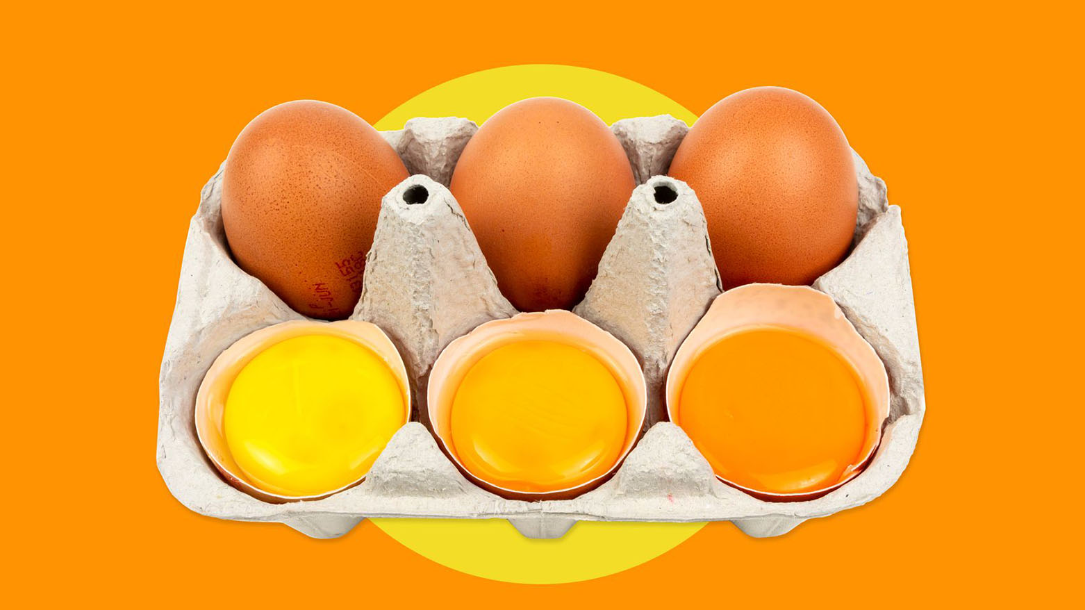 صفار البيض.. المصدر الطبيعي الأقوى لتعزيز مستويات فيتامين "د" والمناعة