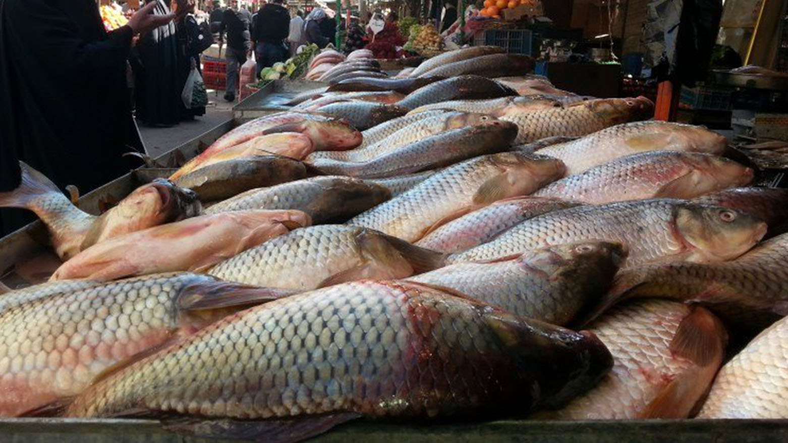 سوق السمك في الشطرة يواجه خطر الانهيار وسط إهمال حكومي 