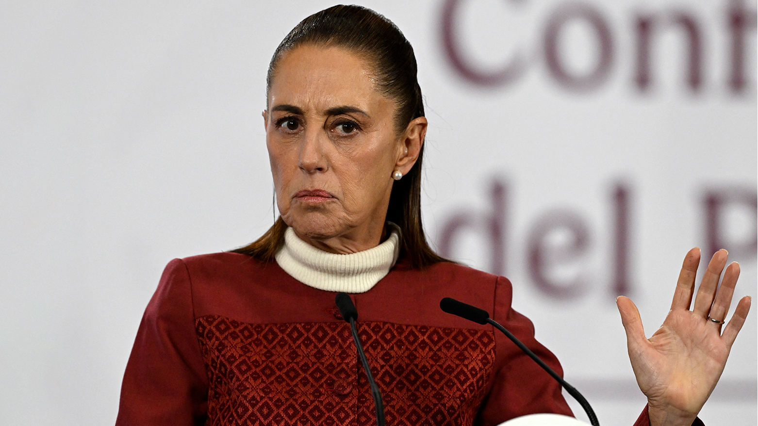 Mexican President Claudia Sheinbaum. (AFP)