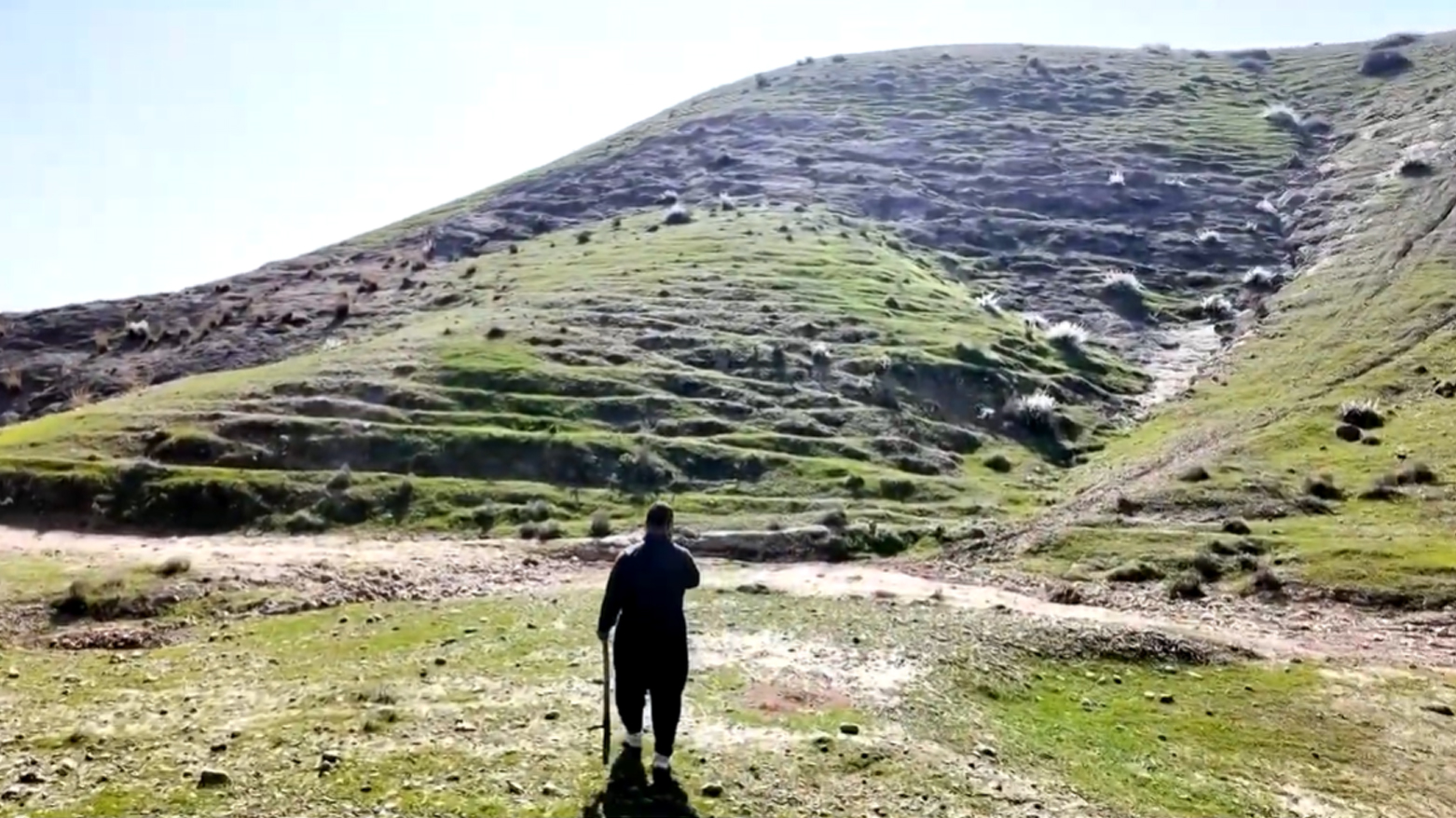 بارانی ئەمساڵ کاریگەریی بەسەر بەرهەمە خۆرسکەکان هەبووە