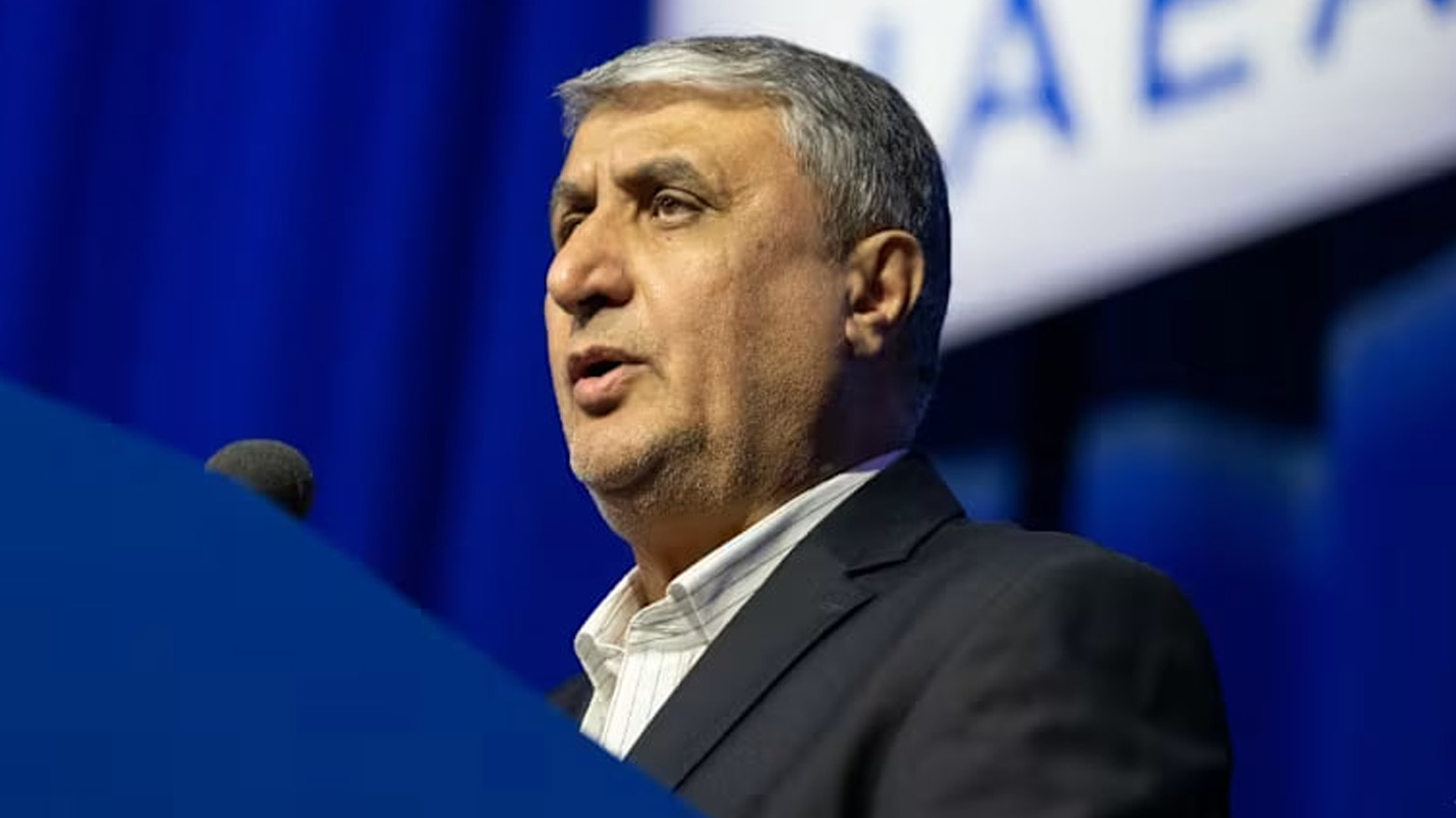 محمد اسلامی، رئیس سازمان انرژی اتمی ایران