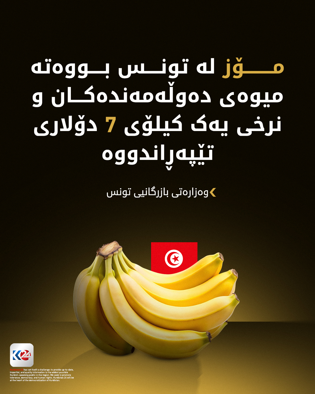 Kurdistan 24 - Facebook Social Post Banner