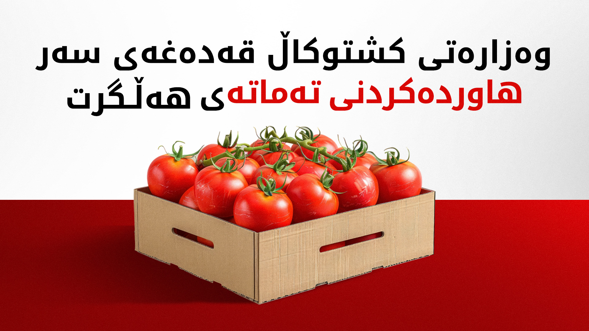 وەزارەتی کشتوکاڵ بڕیارێکی نوێ لەسەر تەماتە دەرکرد