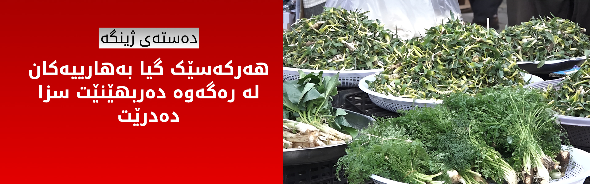 دەستەی ژینگە هۆشداری بە هاووڵاتییان دەدات