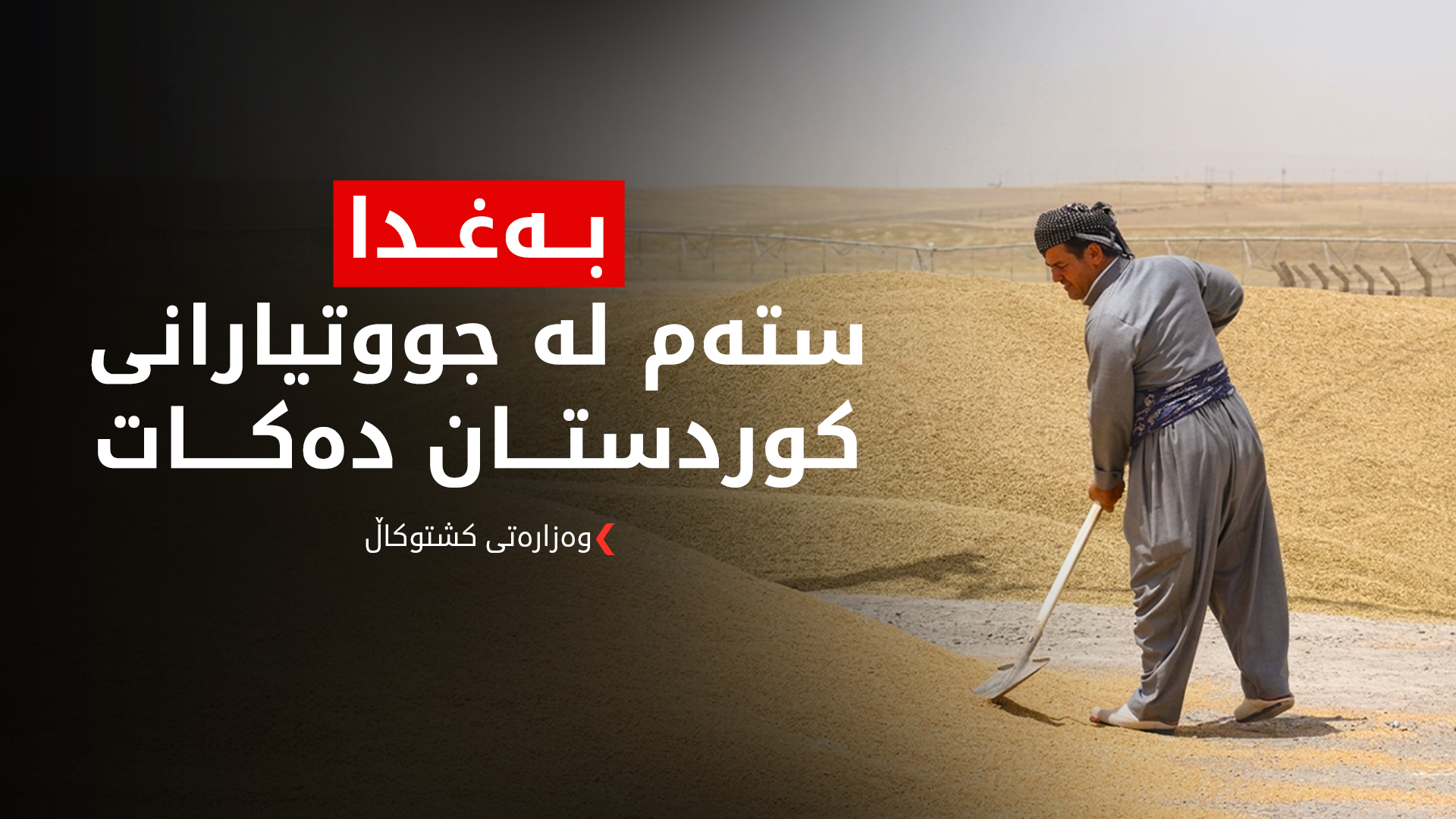 وەزارەتی کشتوکاڵ: بەغدا بە یەکسانی سەیری جووتیارانی کوردستان و عێراق ناکات