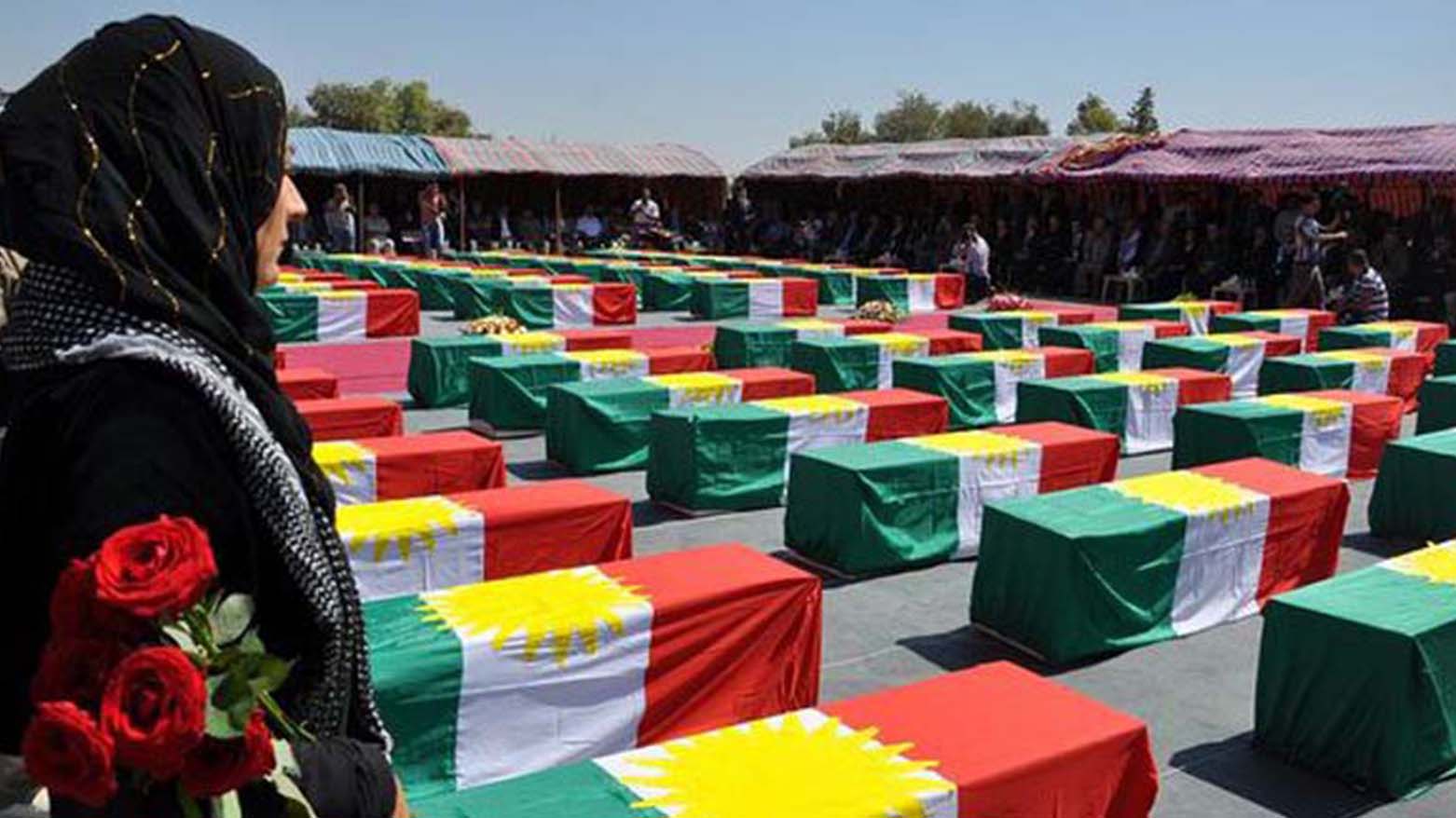 الرواية.. ظل البلوطة الغريبة