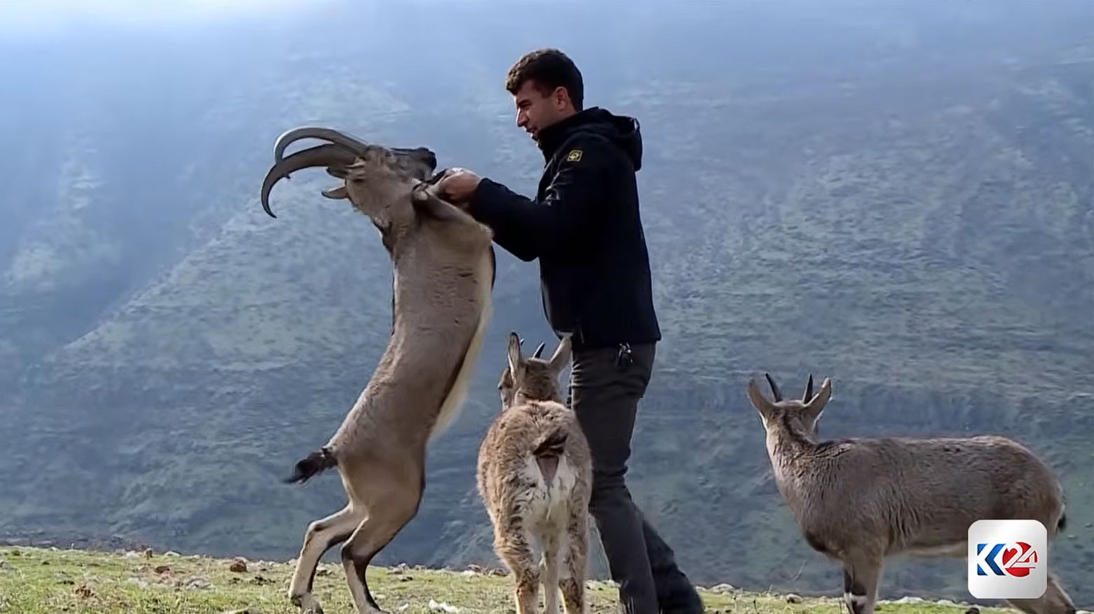 من سوران إلى بارزان.. ميزان البيئة في كوردستان بين "رصاص" الصيد و"ثقافة" الصون 