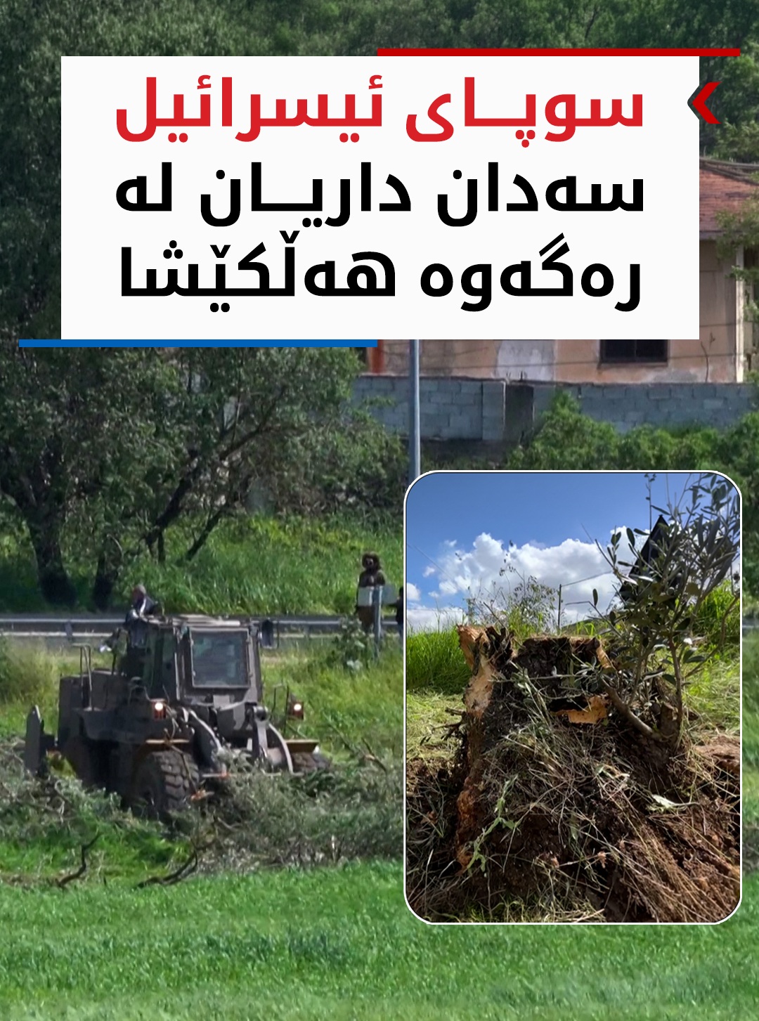 Kurdistan 24 - Instagram Social Post Banner