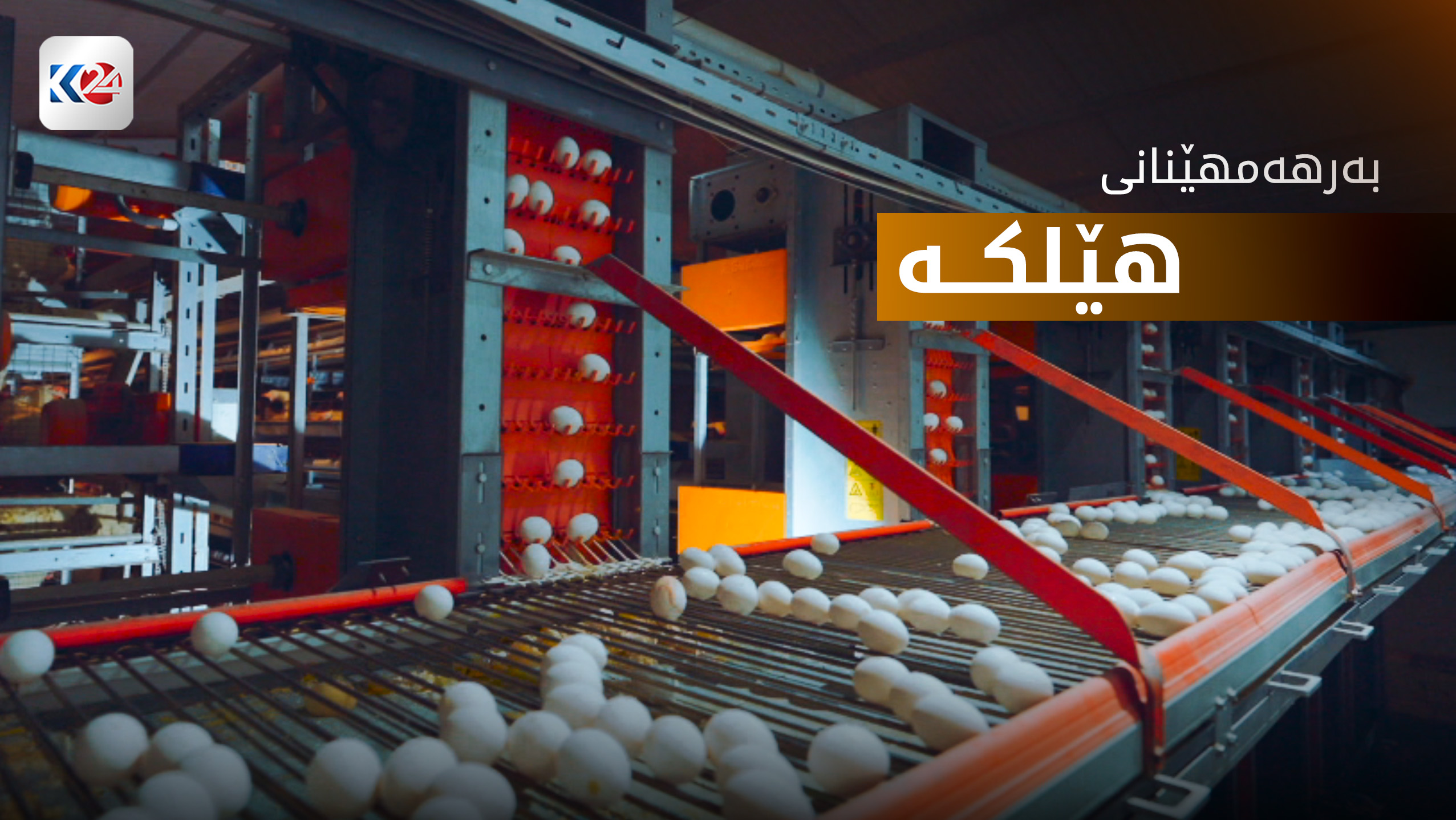 بەرهەمهێنانی هێلکە لە هەرێمی کوردستان