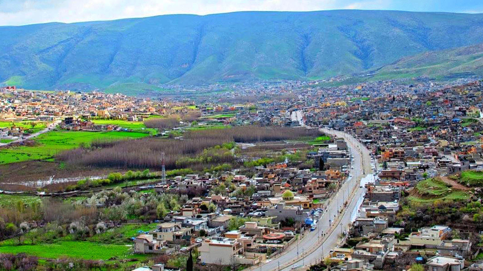 11 ئەندامی یەک خێزان بەخواردنی قارچک ژەهراوی بوون