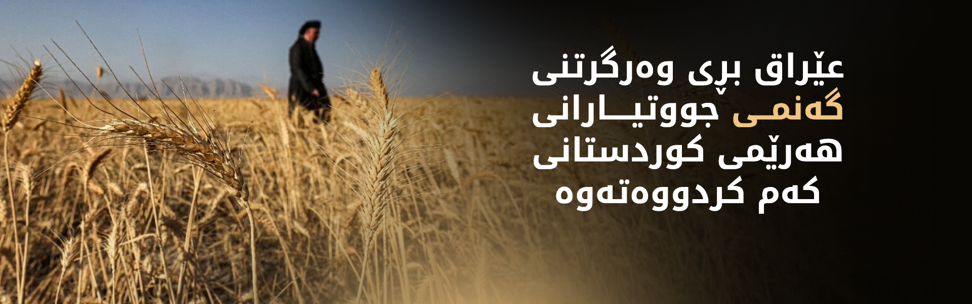 هەولێر و بەغدا لەسەر وەرگرتنی گەنم نەگەیشتوونەتە رێککەوتن و داوایەک ئاراستەی سوودانی کراوە