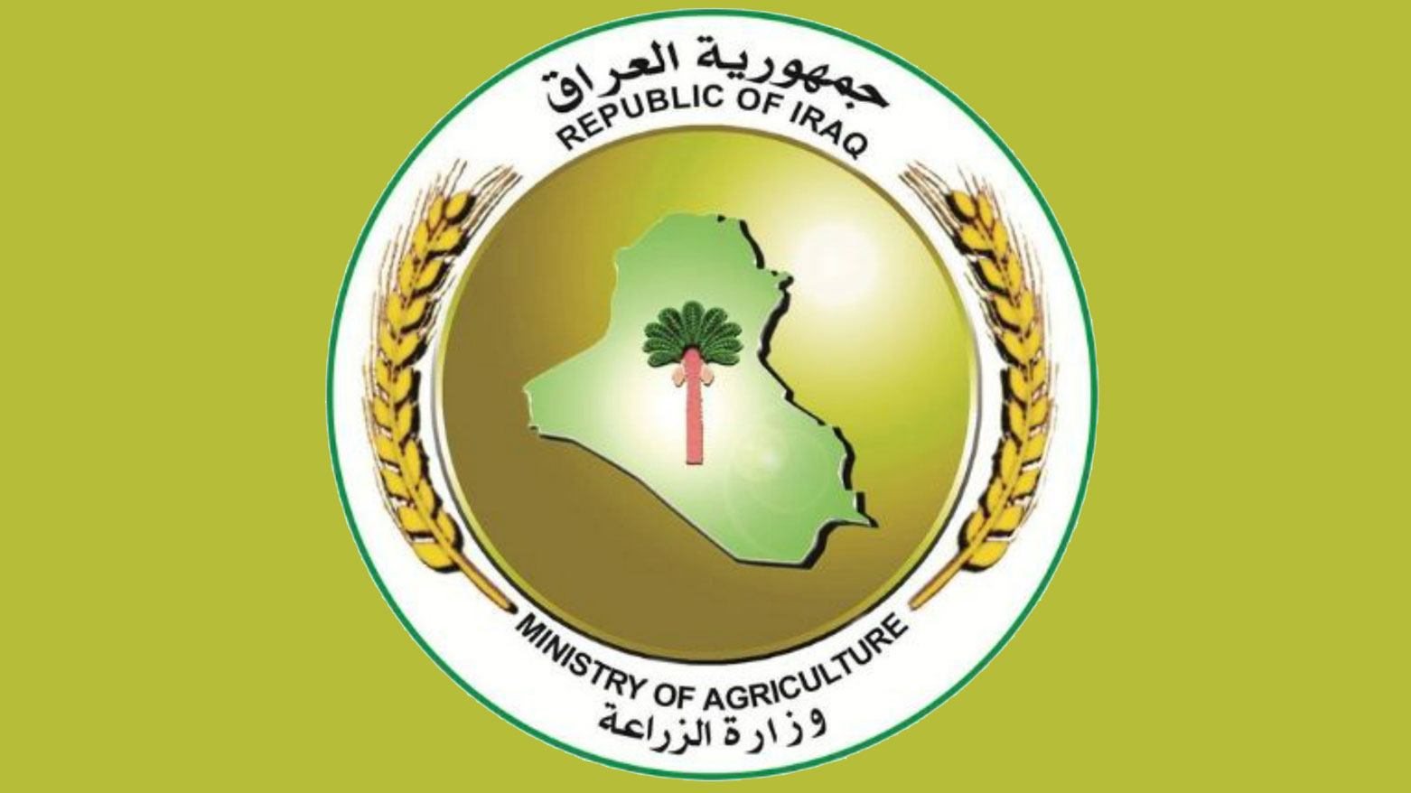 وزارة الزراعة تدعو المواطنين إلى عدم شراء كميات كبيرة من البيض وتطمئن: لا أزمة في الإنتاج 