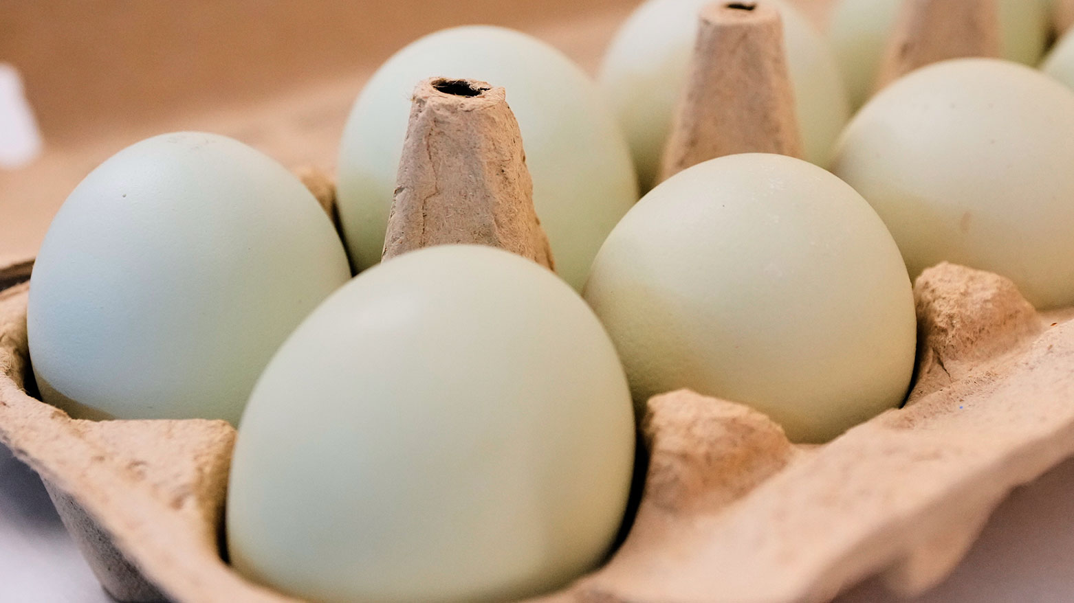 Photo shows a carton of eggs, Oct. 21, 2025. (AP)