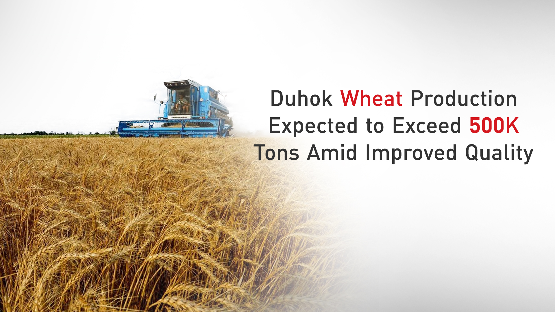 A tractor is working in a wheat field (Graphic: Kurdistan 24)