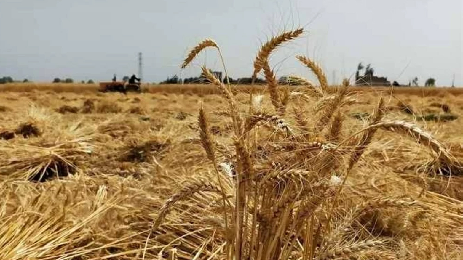 عێراق لە زێڕی زەردەوە بۆ قەیرانی دارایی