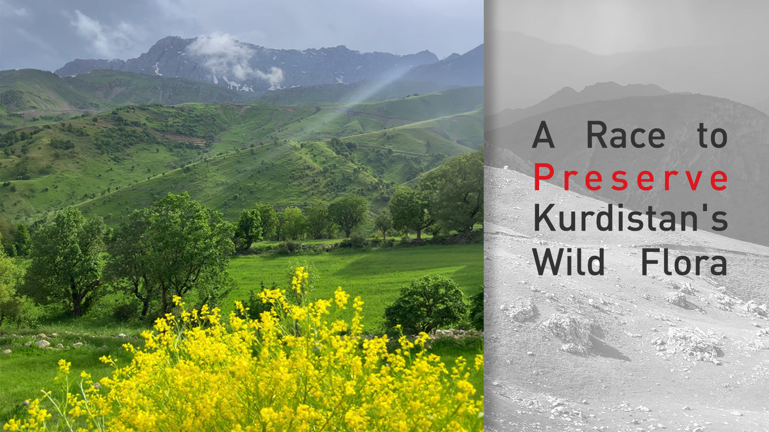 KRG PM Hawler