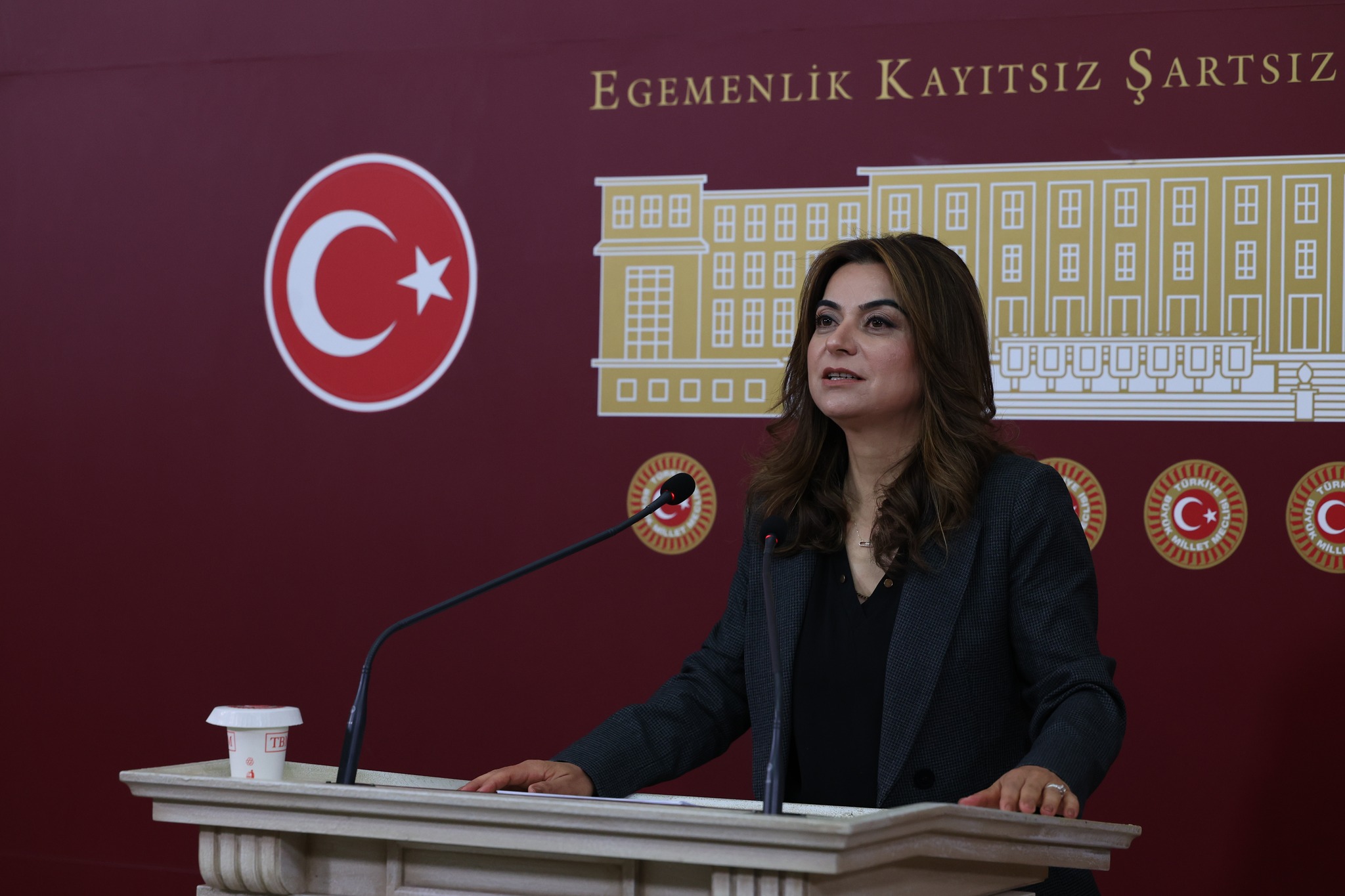 KRG PM Hawler