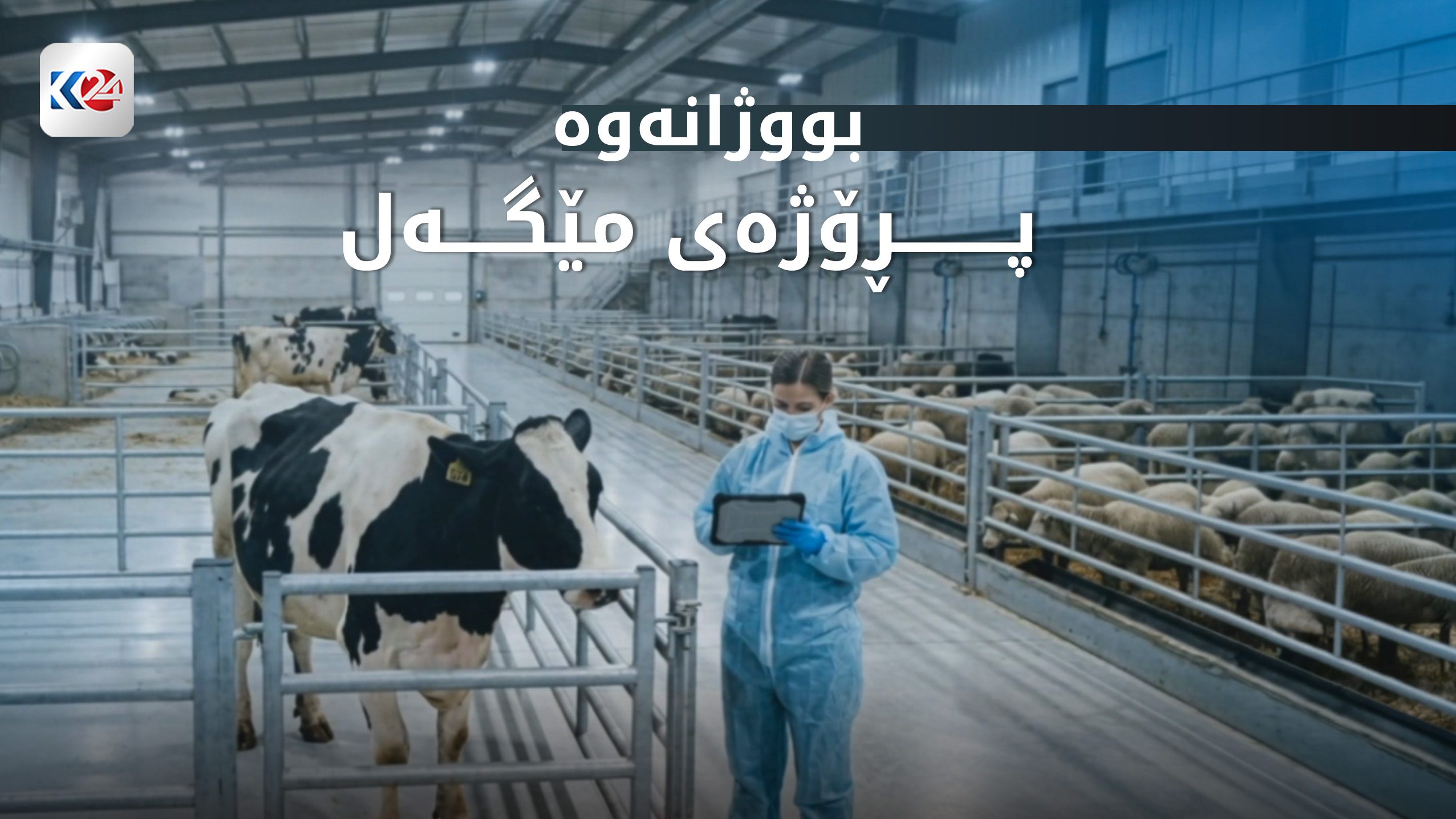 پڕۆژەی مێگەل