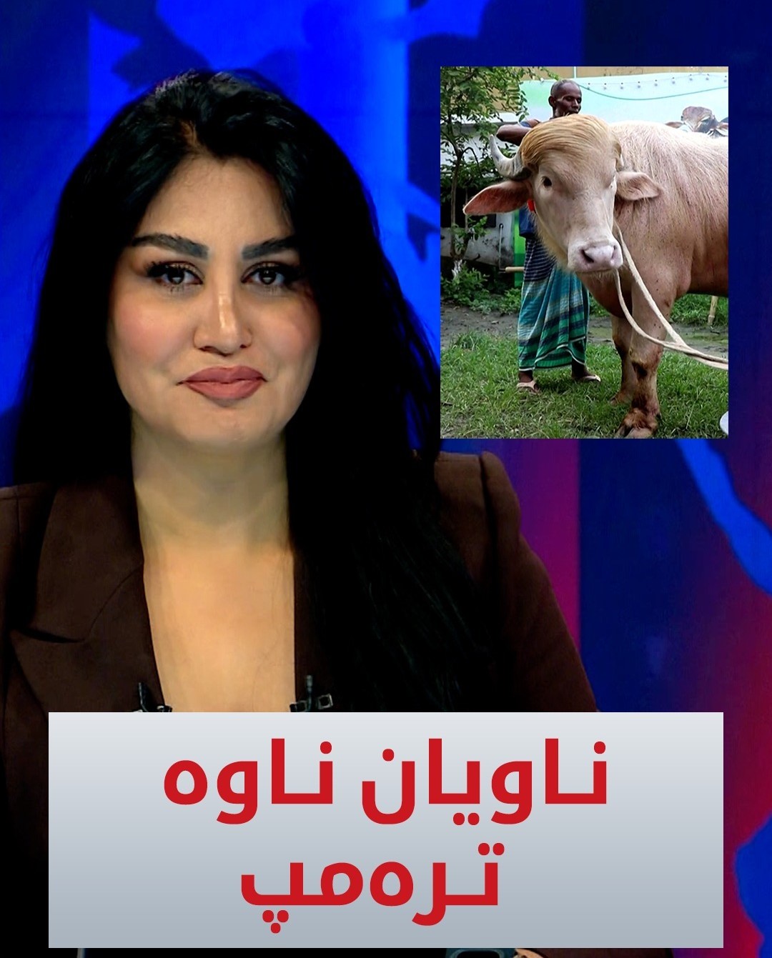 Kurdistan 24 - Instagram Social Post Banner