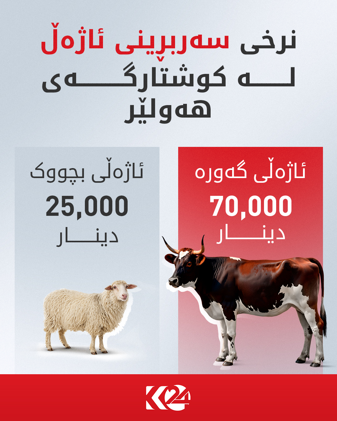 Kurdistan 24 - Facebook Social Post Banner