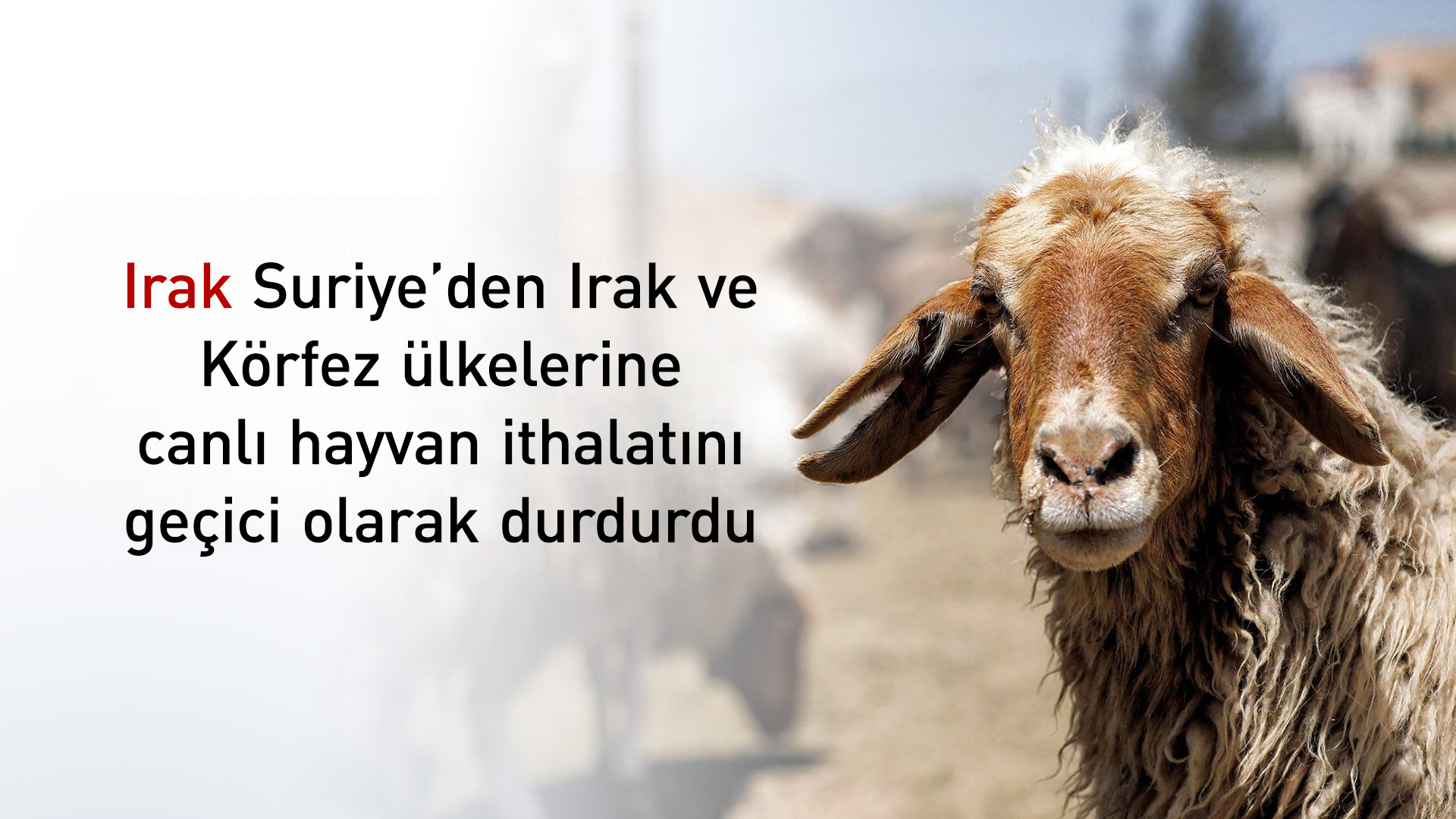 KRG PM Hawler