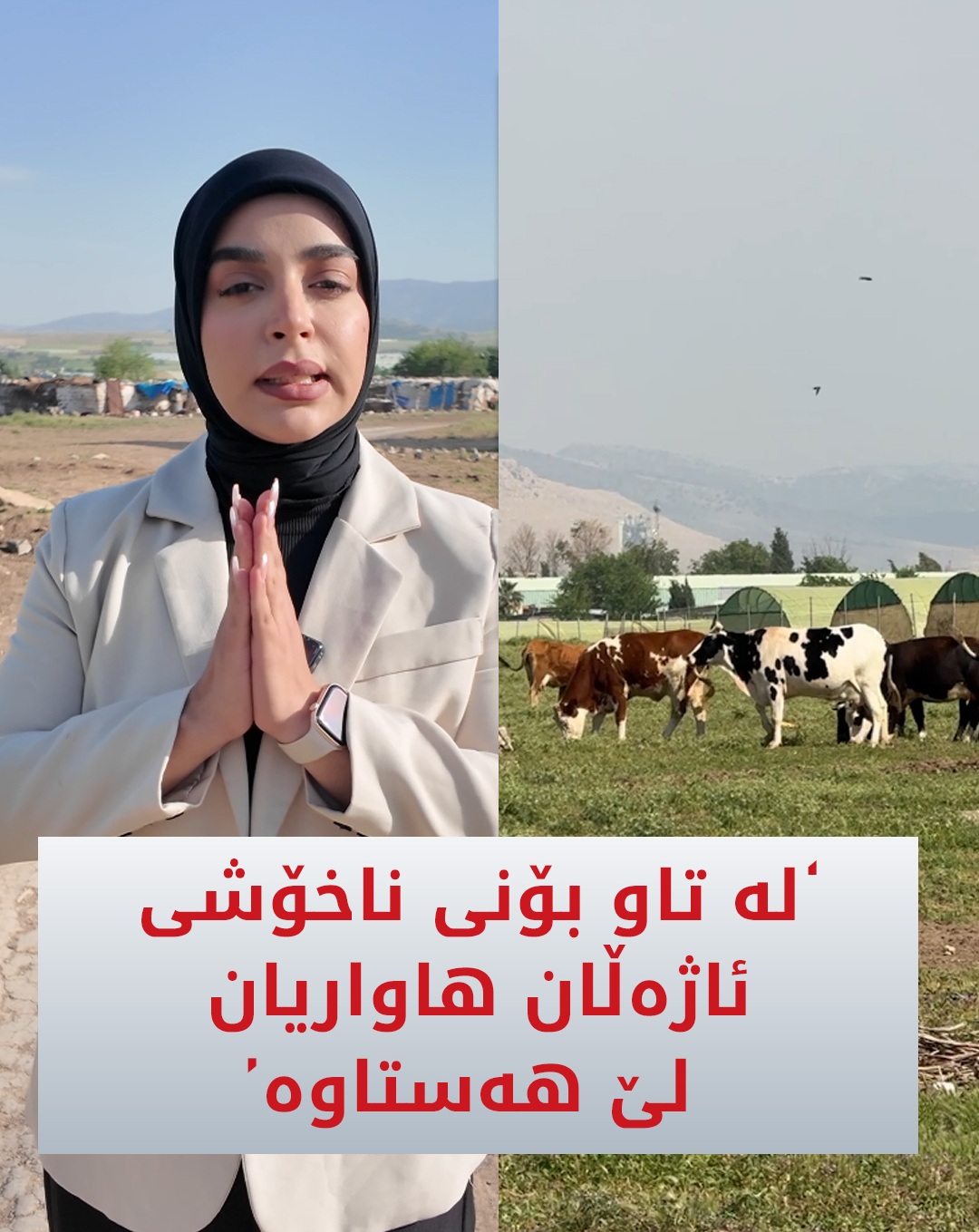 Kurdistan 24 - Twitter/X Social Post Banner