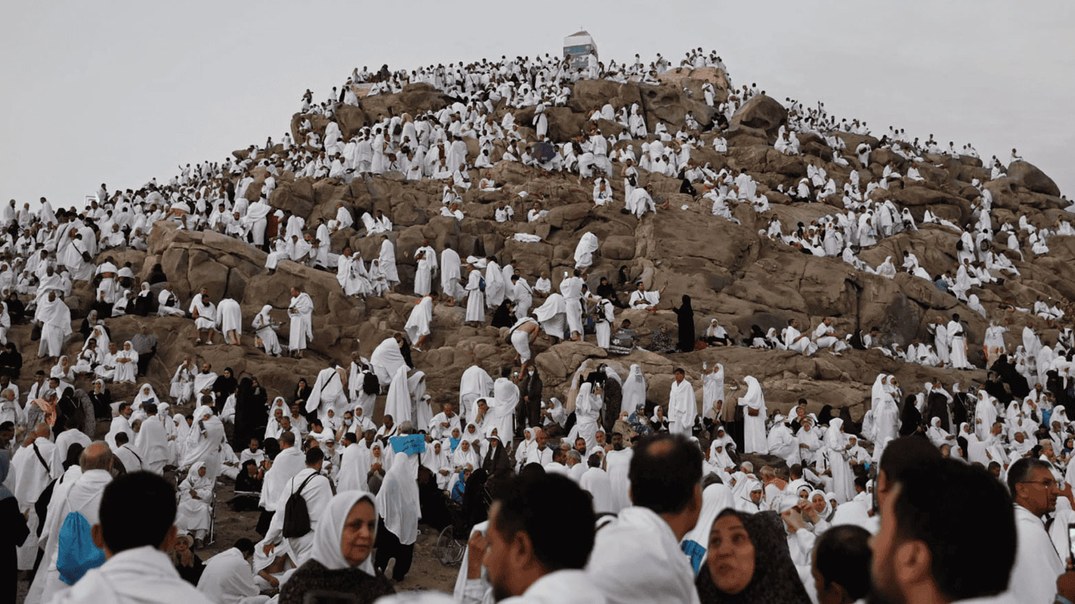 عيد الأضحى ... تجلي الفداء وميلاد التسامح
