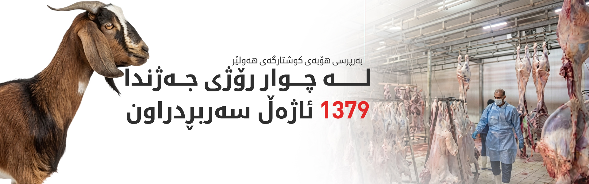 کوشتارگەی هەولێر ئاماری قوربانیکردنی چوار رۆژی جەژنی راگەیاند
