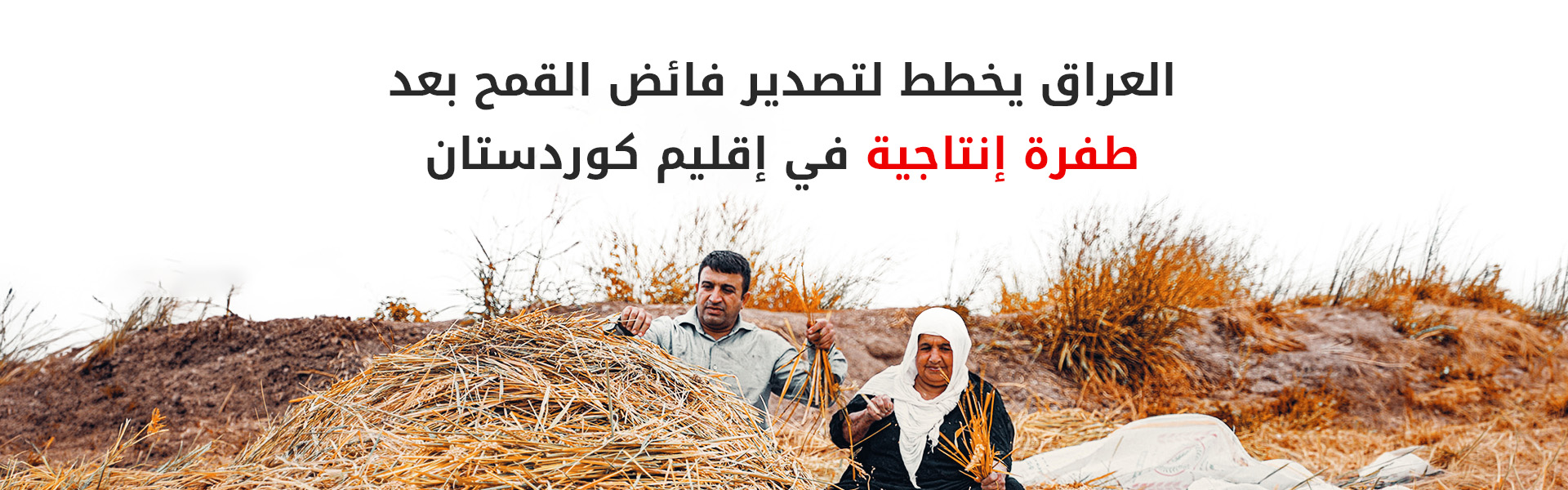 وزير التجارة العراقي: إنتاج القمح في كوردستان يتجاوز التوقعات ونسعى لاستيعاب كامل المحصول
