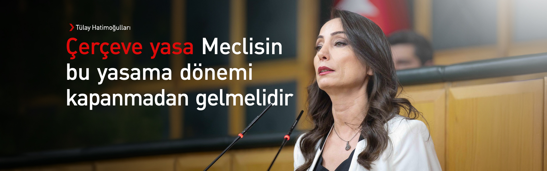 Hatimoğulları: Süreç iyi niyet beyanlarıyla götürülemez