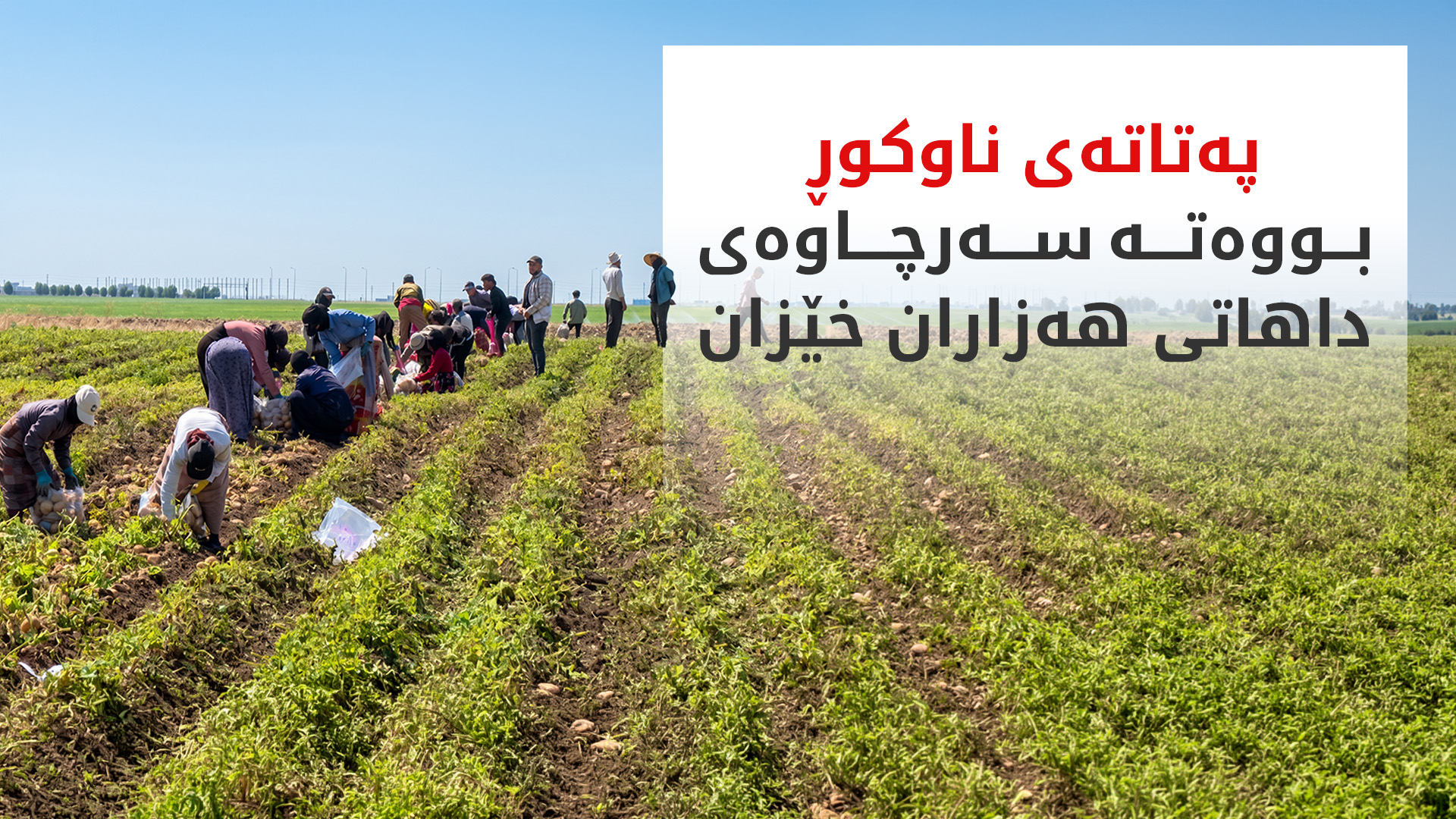 KRG PM Hawler
