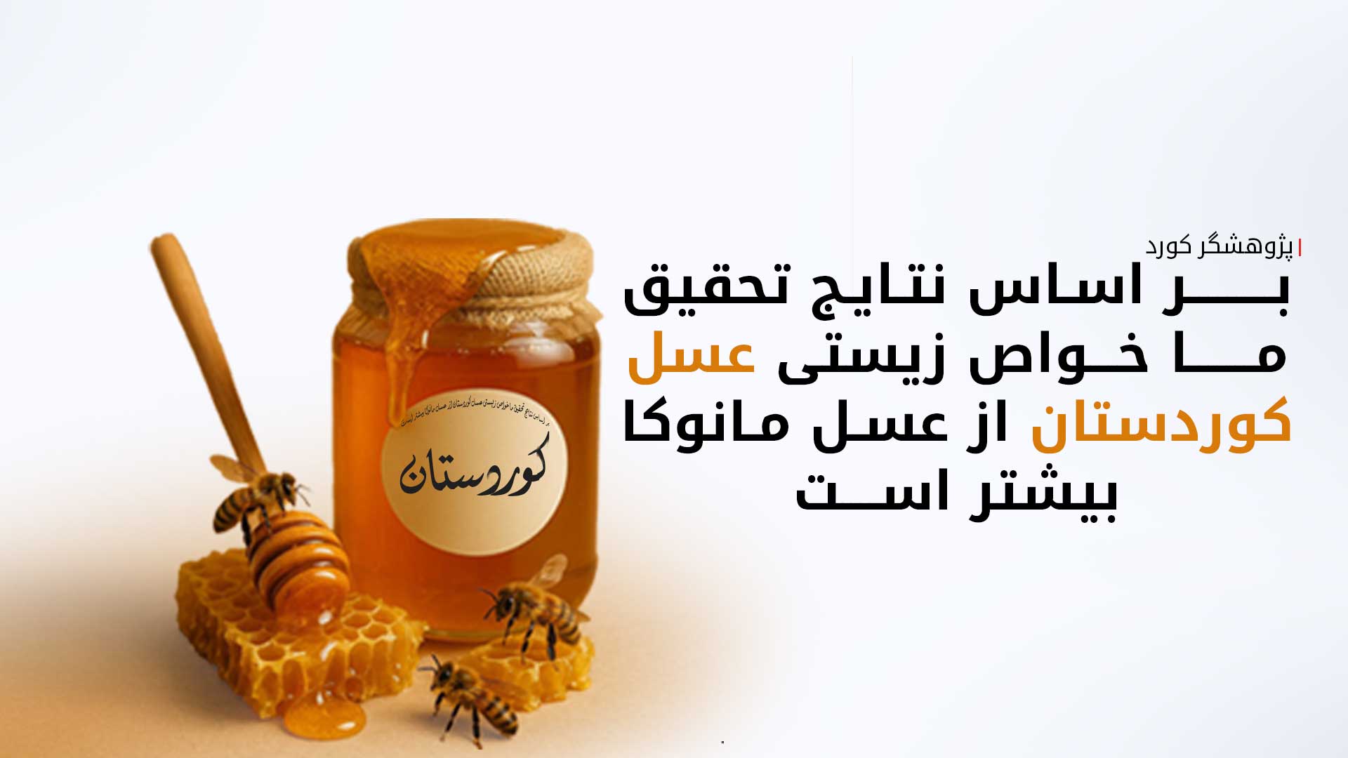 KRG PM Hawler