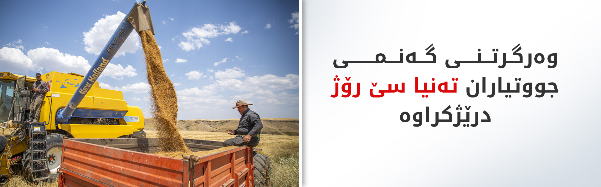 ماوەی وەرگرتنی گەنم لە جووتیارانی هەرێمی کوردستان تا 18ـی مانگ درێژکرایەوە
