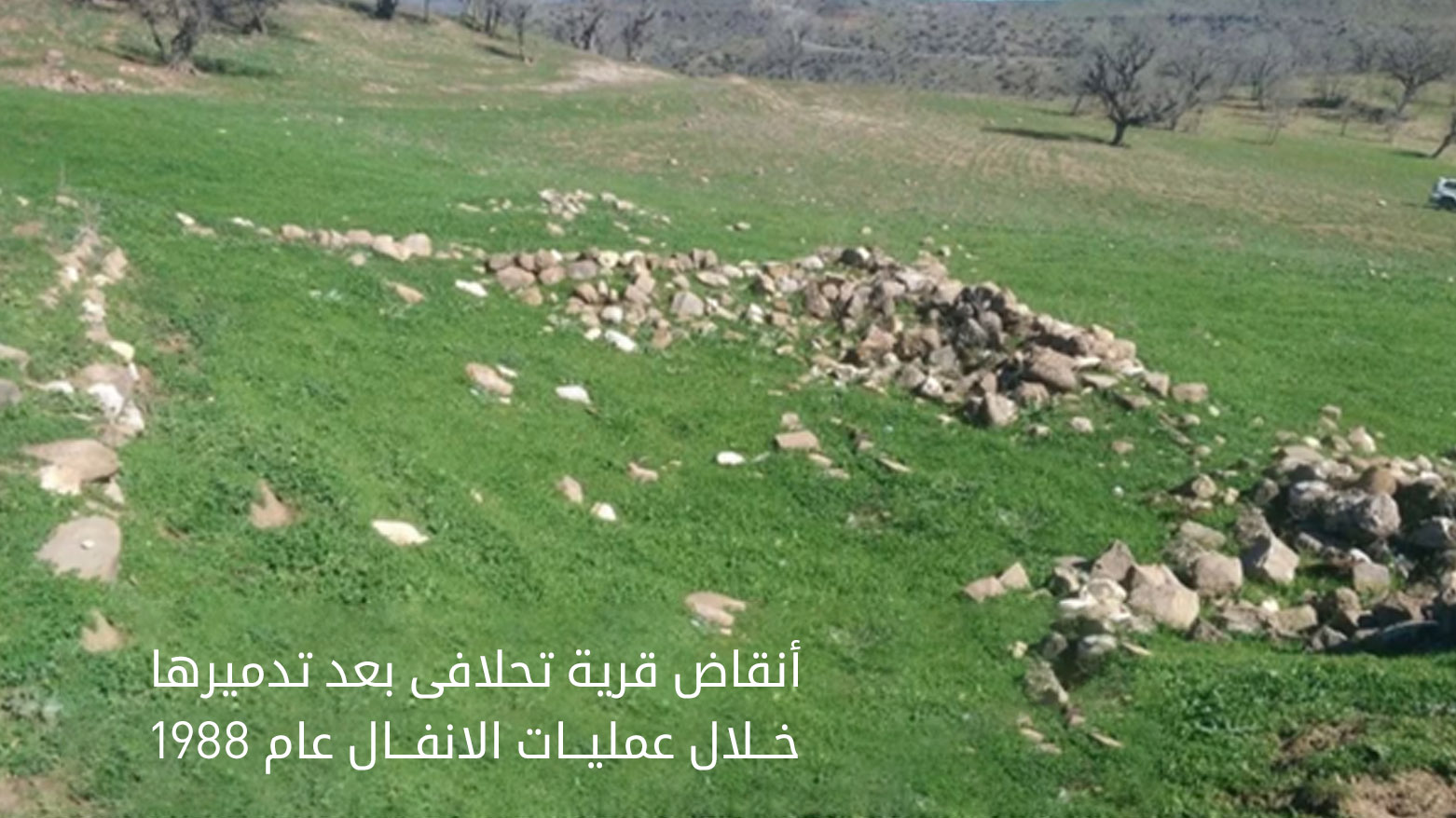 تحلافى… القرية التي هزمت فيها الإنسانية البنادق
