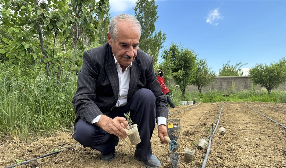 Tahir Şen