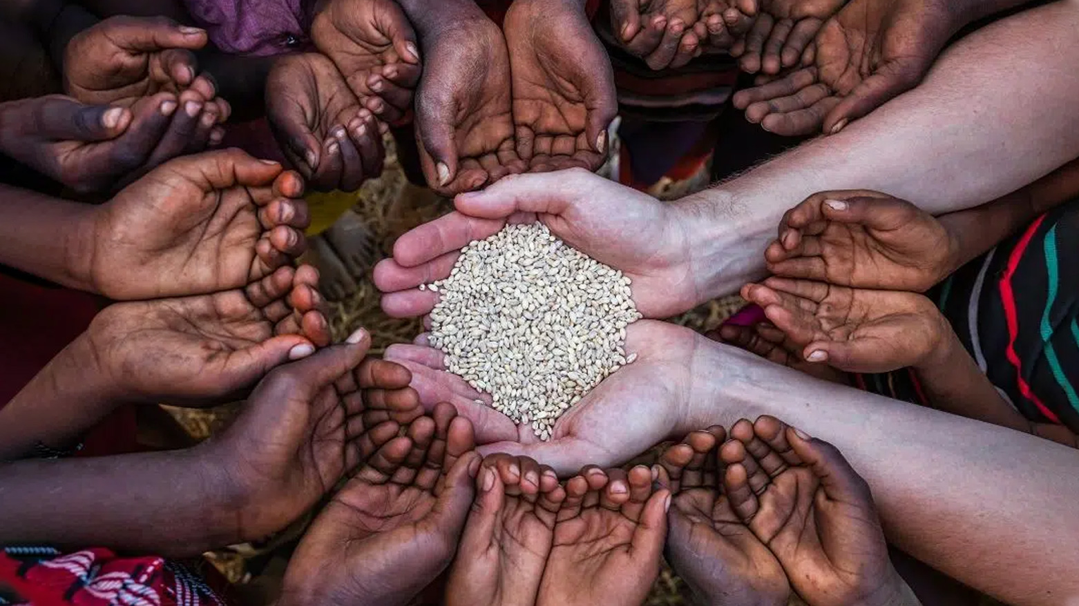 ئاڵەنگارییەکانی ئاسایشی خۆراک و خۆراکی جیهانی