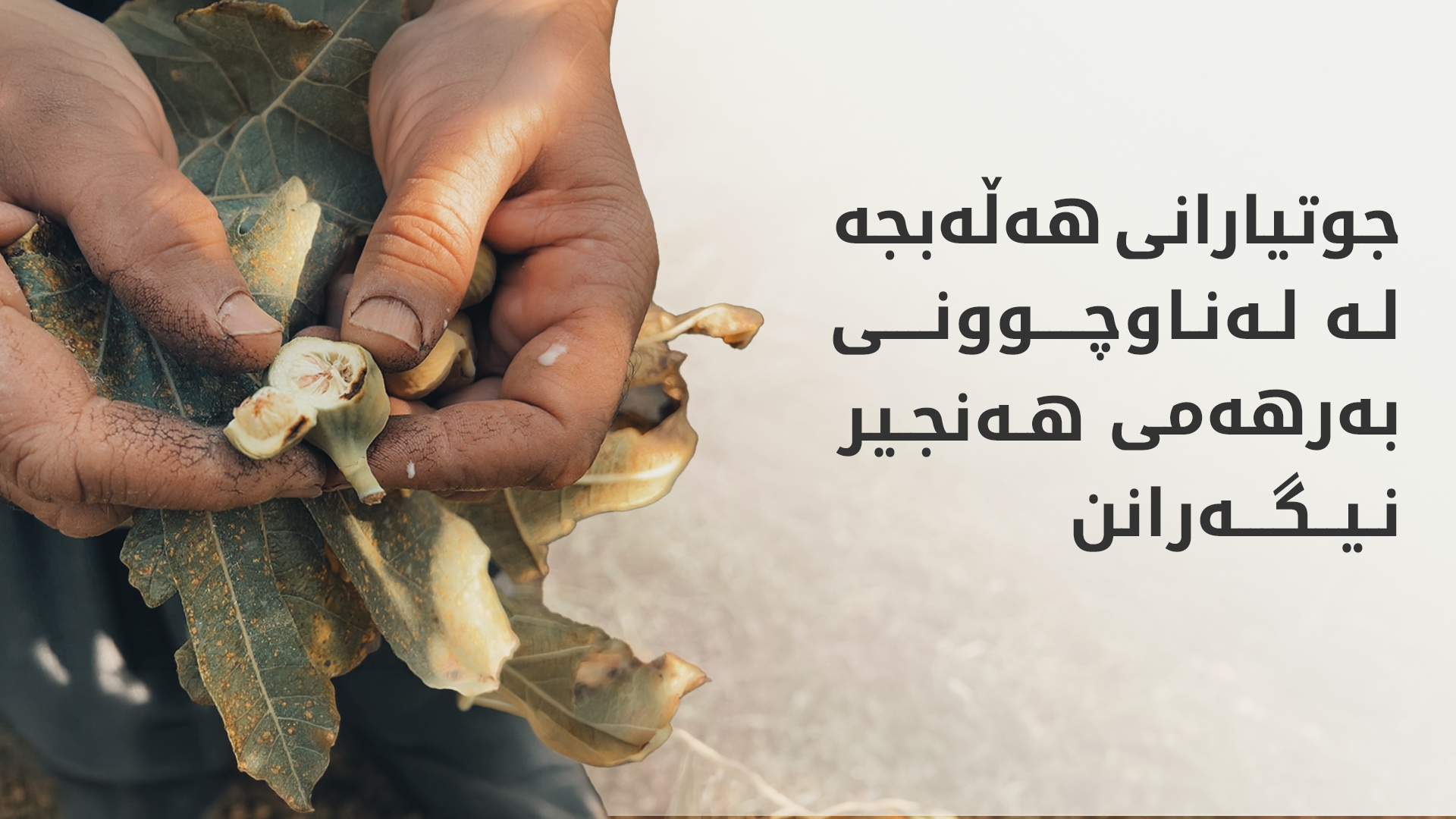 KRG PM Hawler