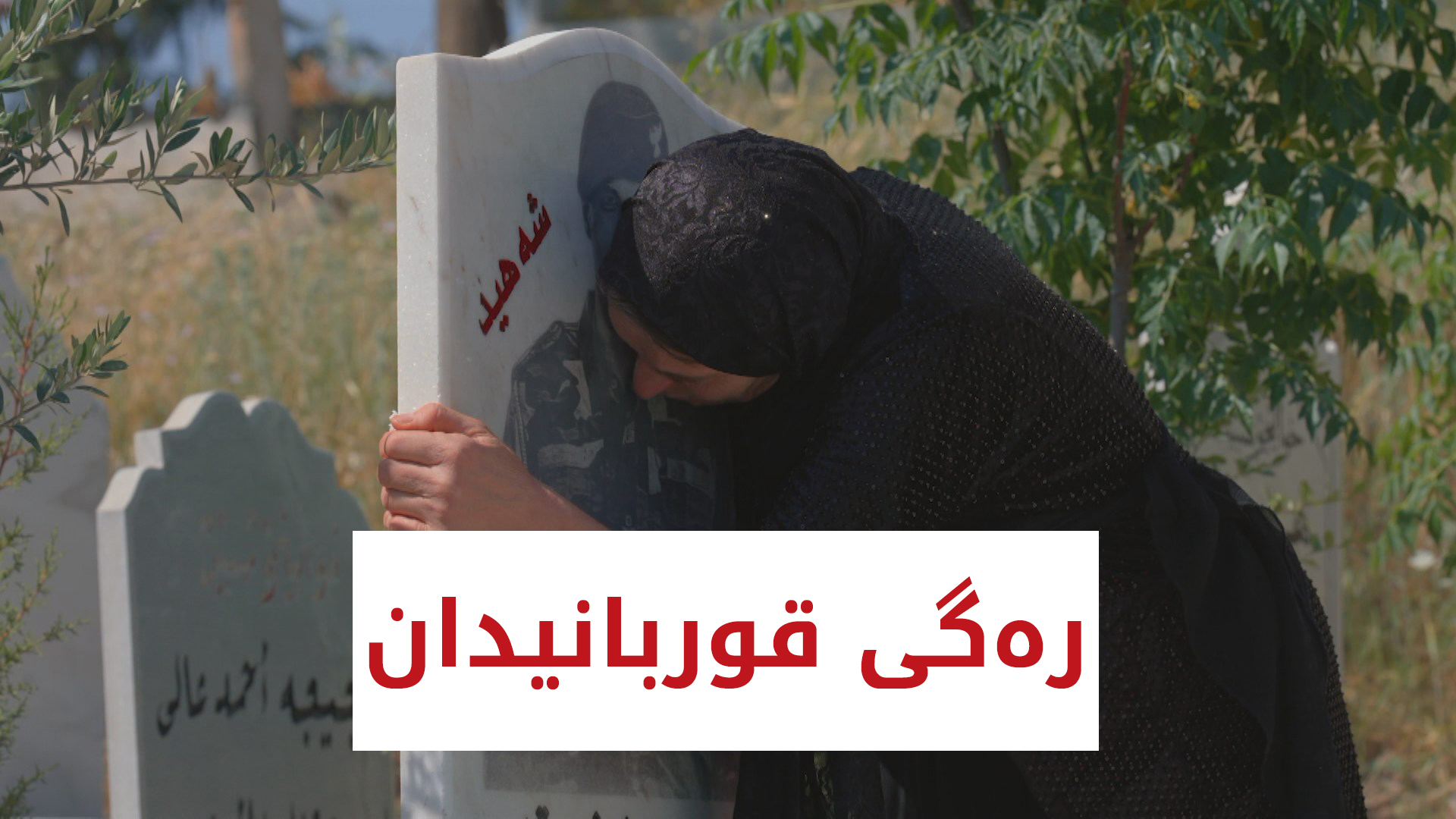 دۆکیۆمێنتەری | رەگی قوربانیدان