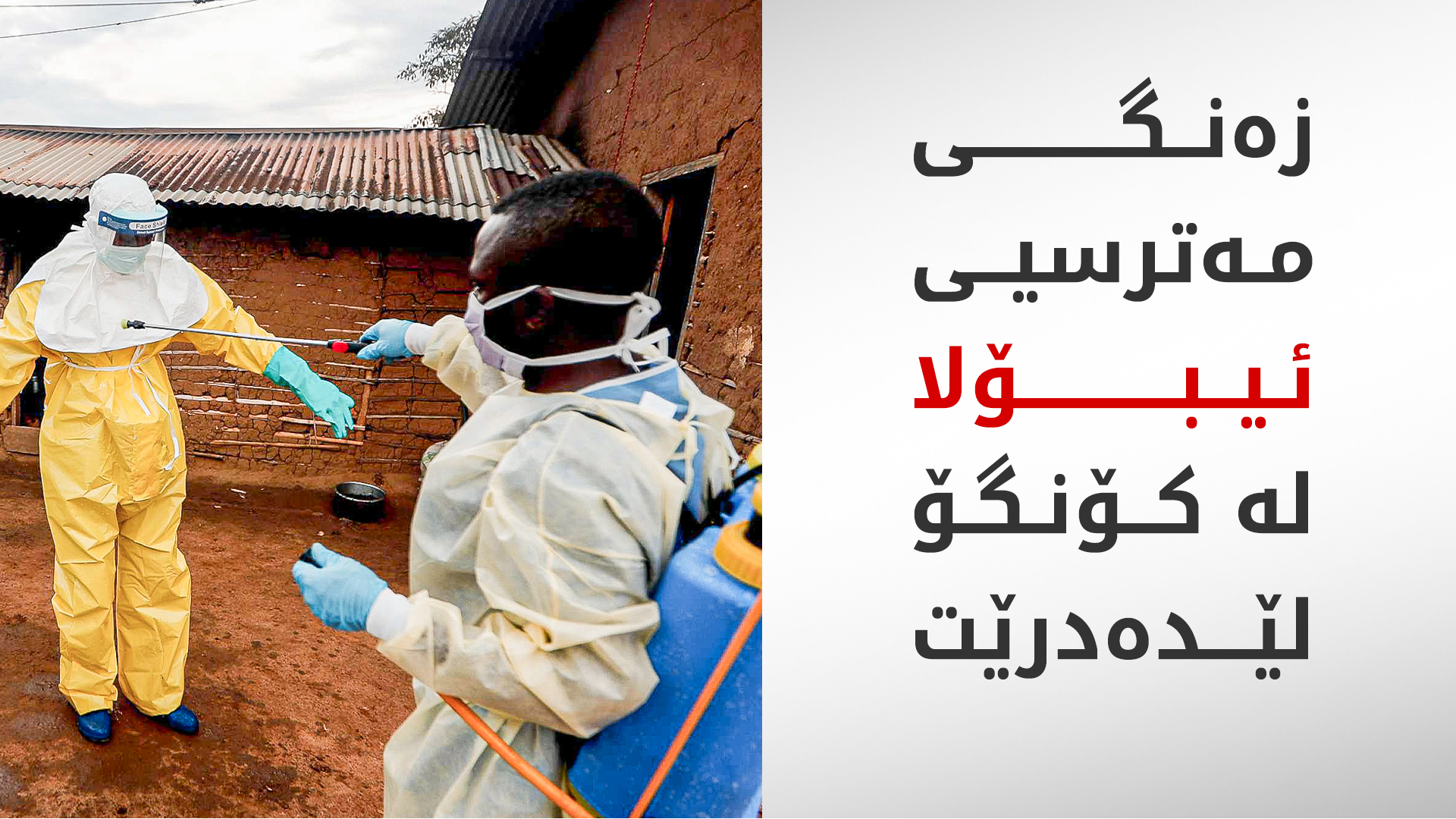 لە کۆنگۆ ژمارەیەکی پێوانەیی قوربانییانی ئیبۆلا تۆمار کرا