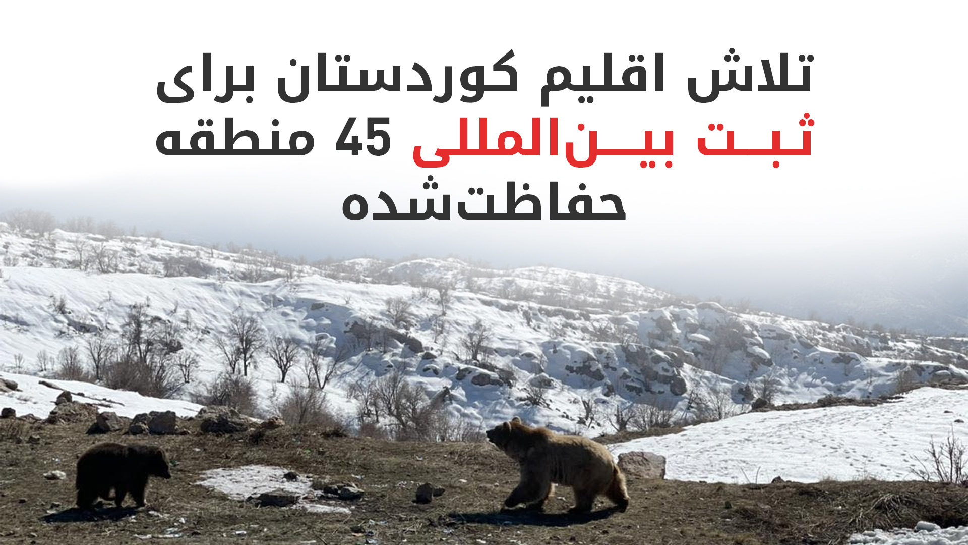 گام بزرگ اقلیم کوردستان در حفاظت از محیط زیست