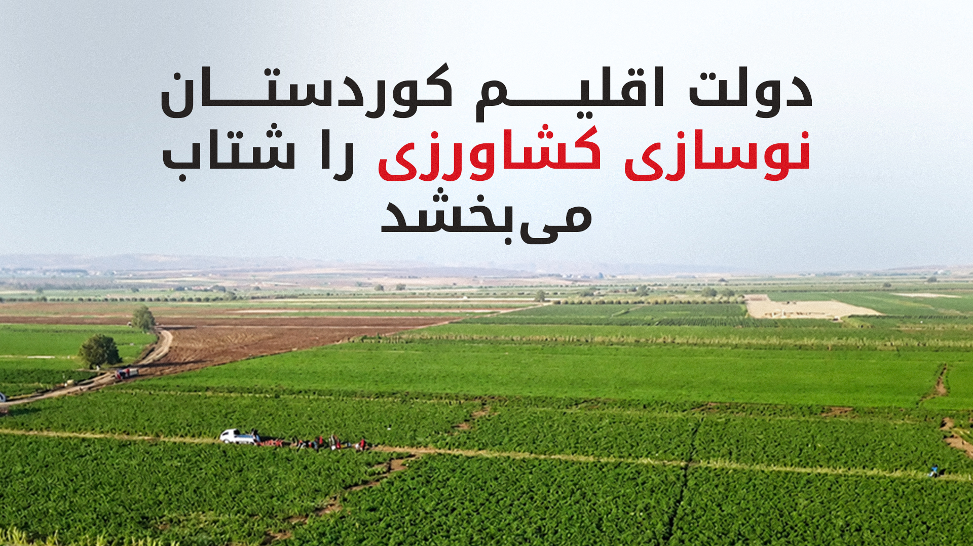 سخنگوی وزارت کشاورزی: کشت بدون شخم در برخی مناطق ۱۰ برابر شد