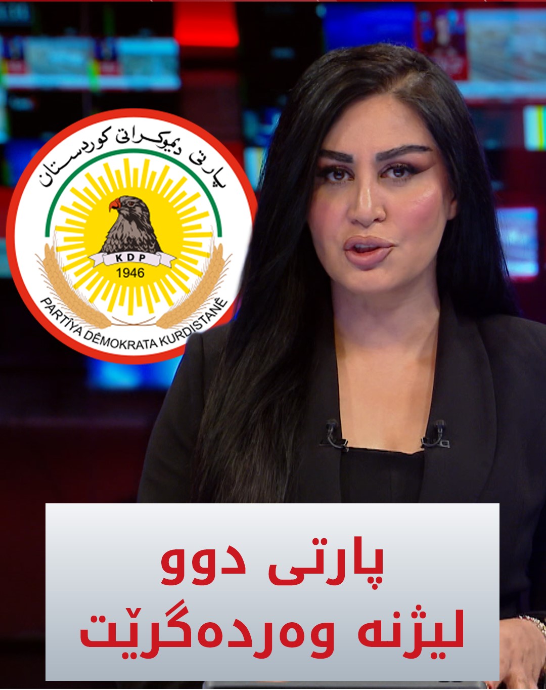 Kurdistan 24 - Instagram Social Post Banner