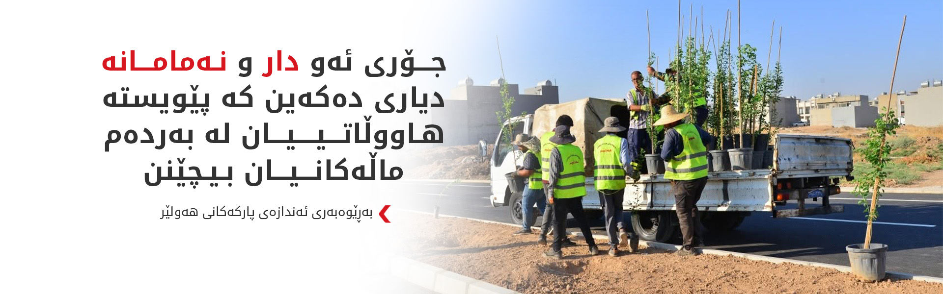 ئەندازەی پارکەکانی هەولێر بڕیارێکی نوێ دەربارەی چاندنی دار لە بەردەم ماڵان دەردەکات