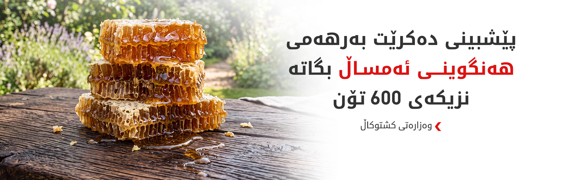 وەزارەتی کشتوکاڵ: بەرهەمی هەنگوینی کوردستان بە رێژەی 20% زیادی کردووە