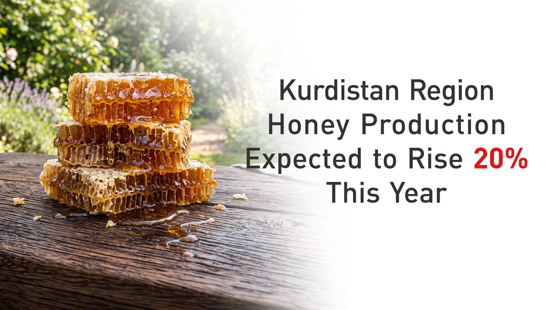 KRG PM Hawler