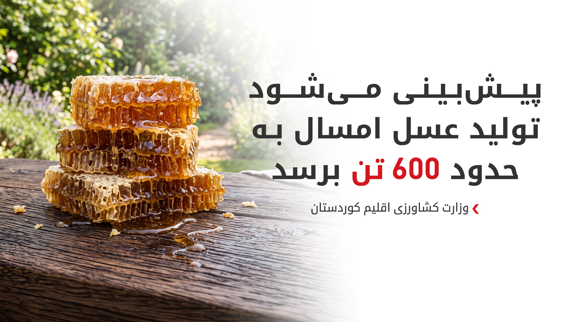 KRG PM Hawler