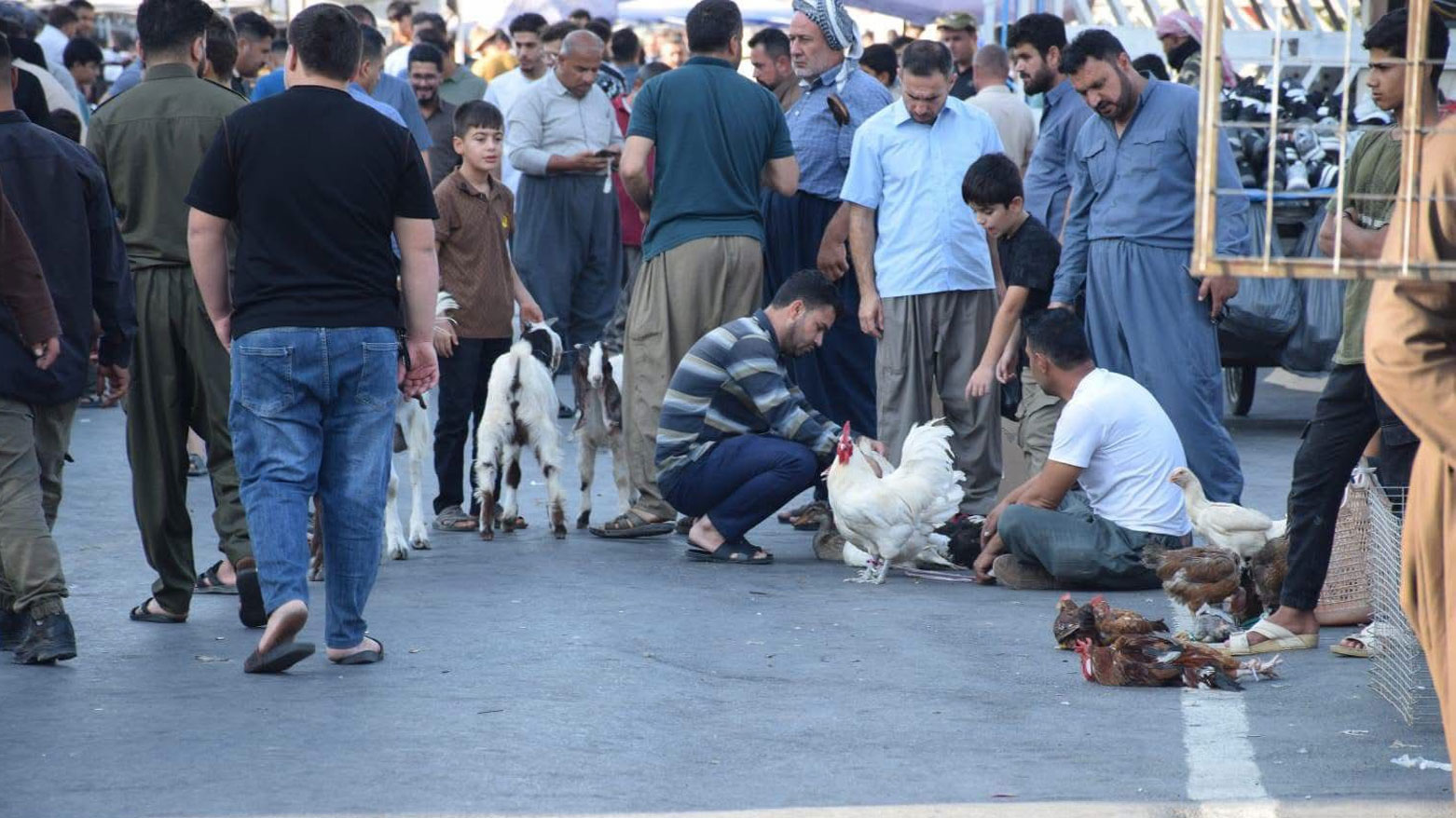 KRG PM Hawler