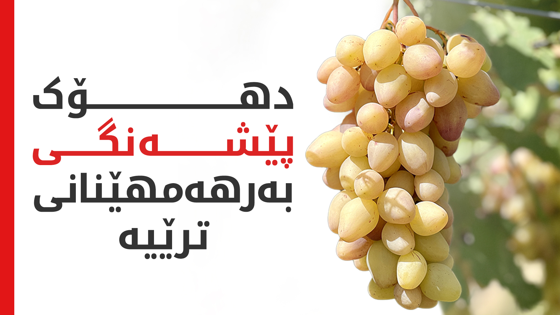 KRG PM Hawler
