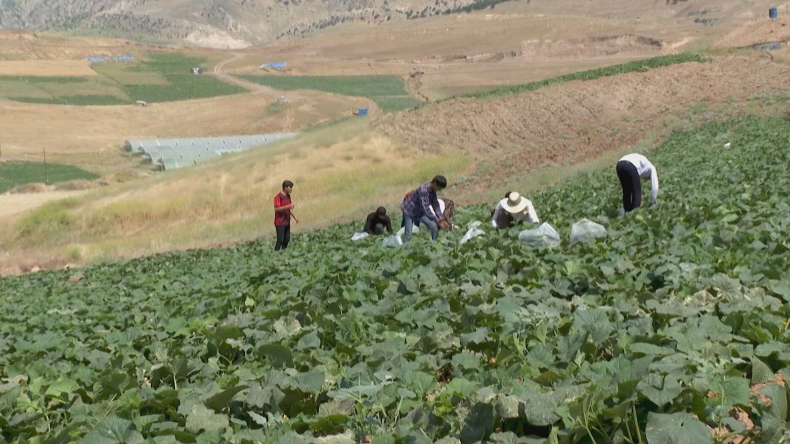 KRG PM Hawler