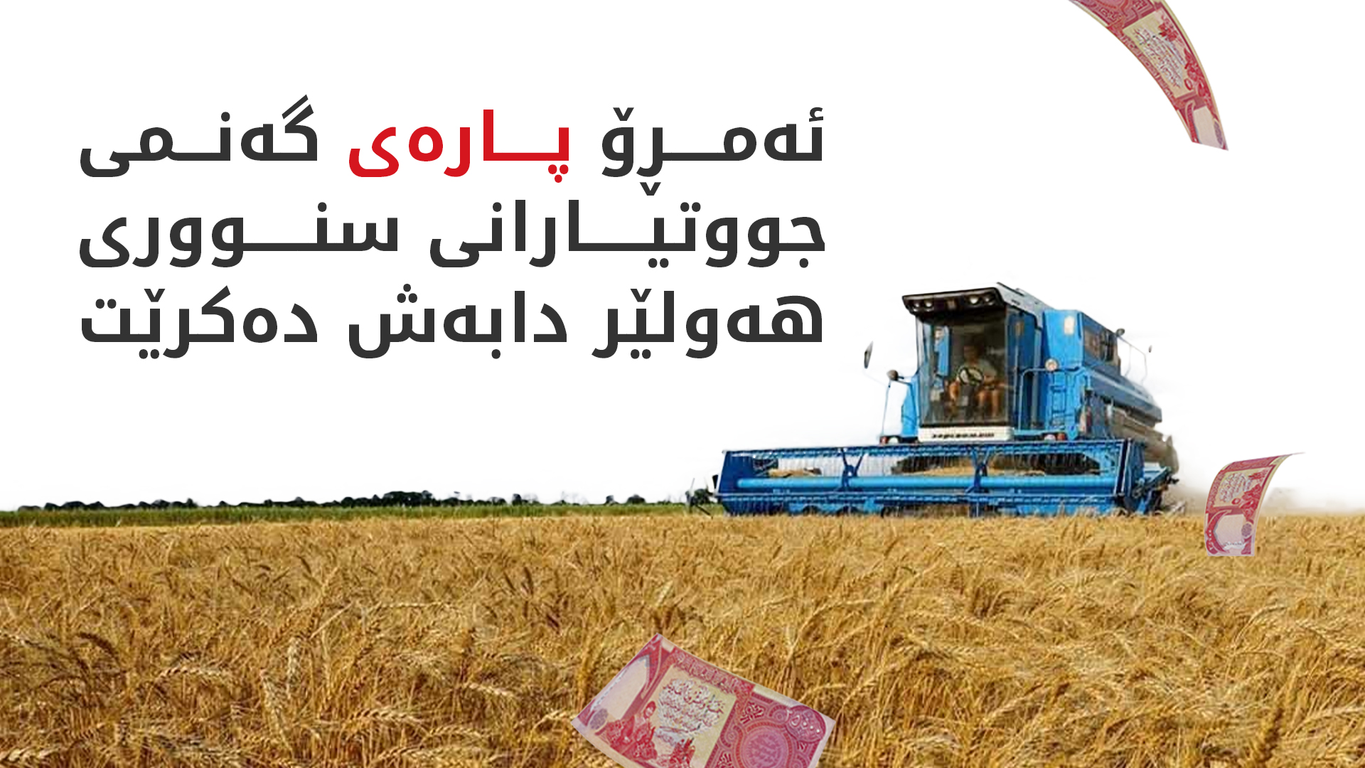 ئەمڕۆ پارەی گەنمی جووتیاران لە هەولێر دابەش دەکرێت